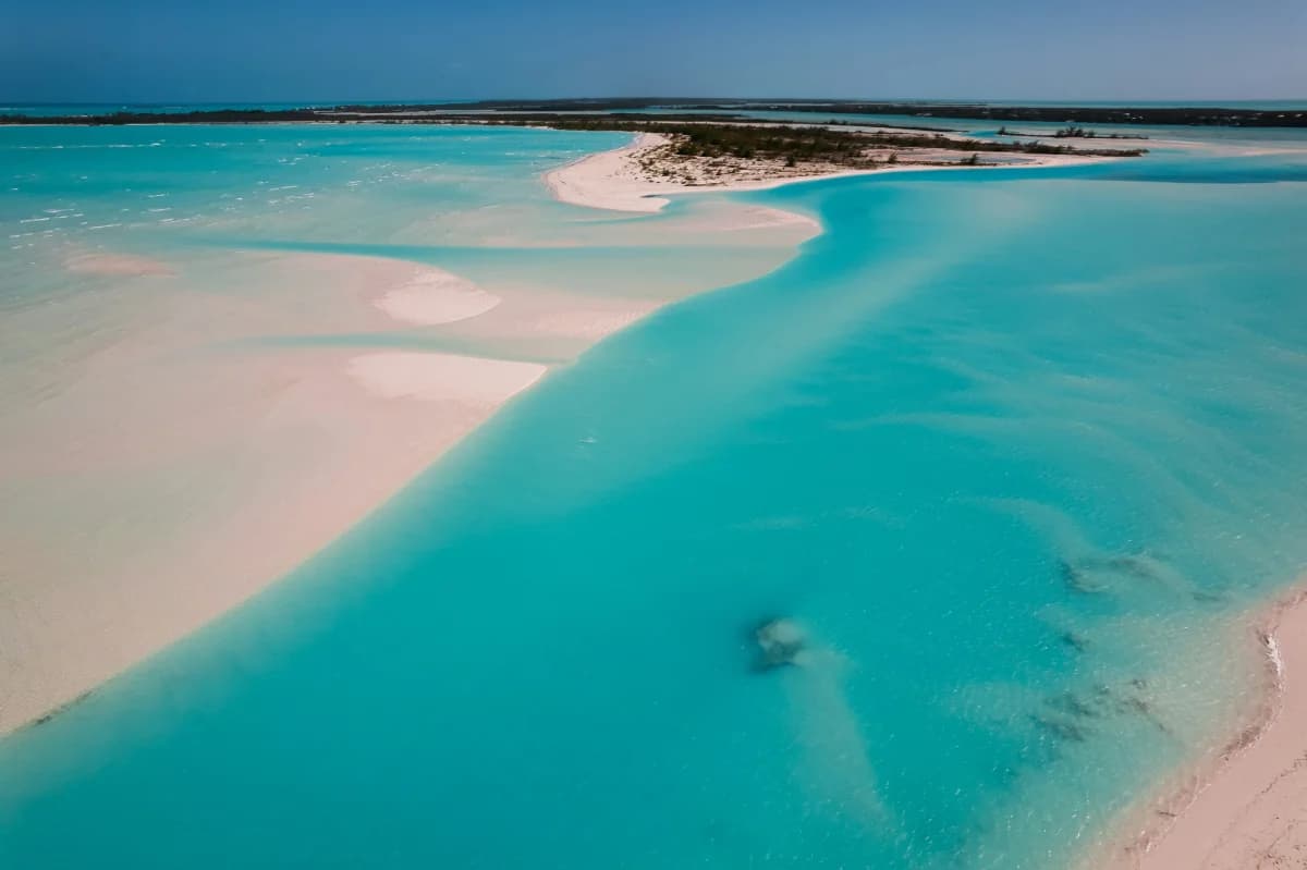 Where to Eat, Sleep and Wander in Beaches