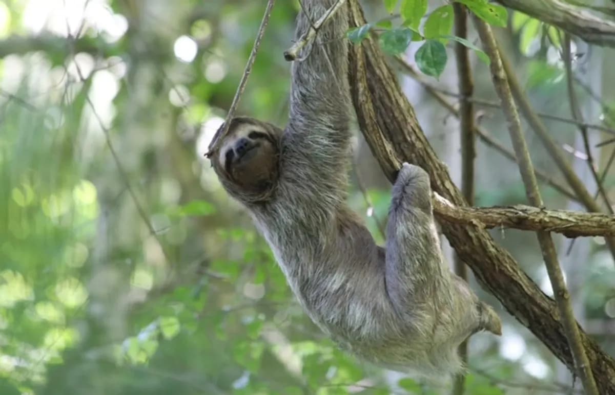Planning a Honeymoon in Kenya: Trips We'd Book Again