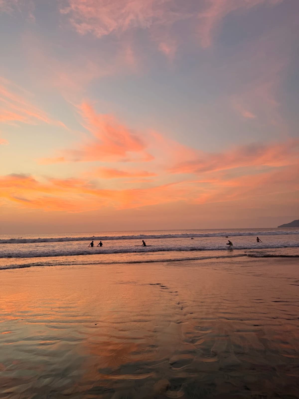 Where to Eat, Sleep and Wander in Beaches